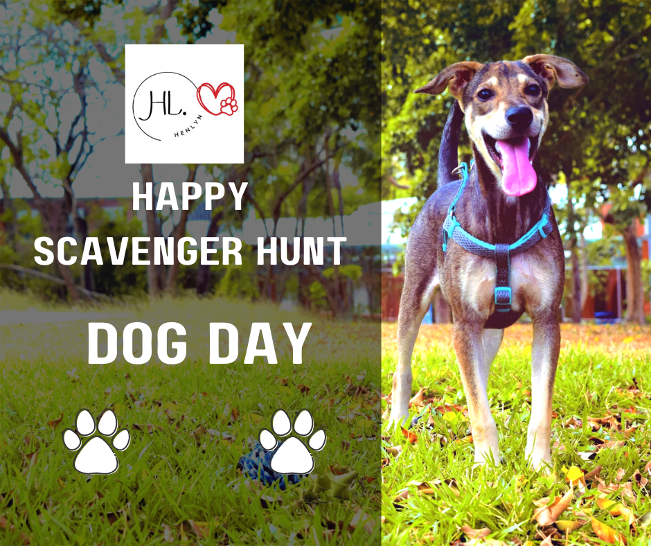 BEST ACTIVITY TO DO WITH YOUR DOG - SCAVENGER HUNT - YOU ONLY LIVE ONCE WITH YOUR DOG