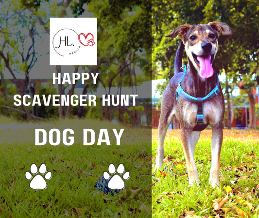 BEST ACTIVITY TO DO WITH YOUR DOG - SCAVENGER HUNT - YOU ONLY LIVE ONCE WITH YOUR DOG