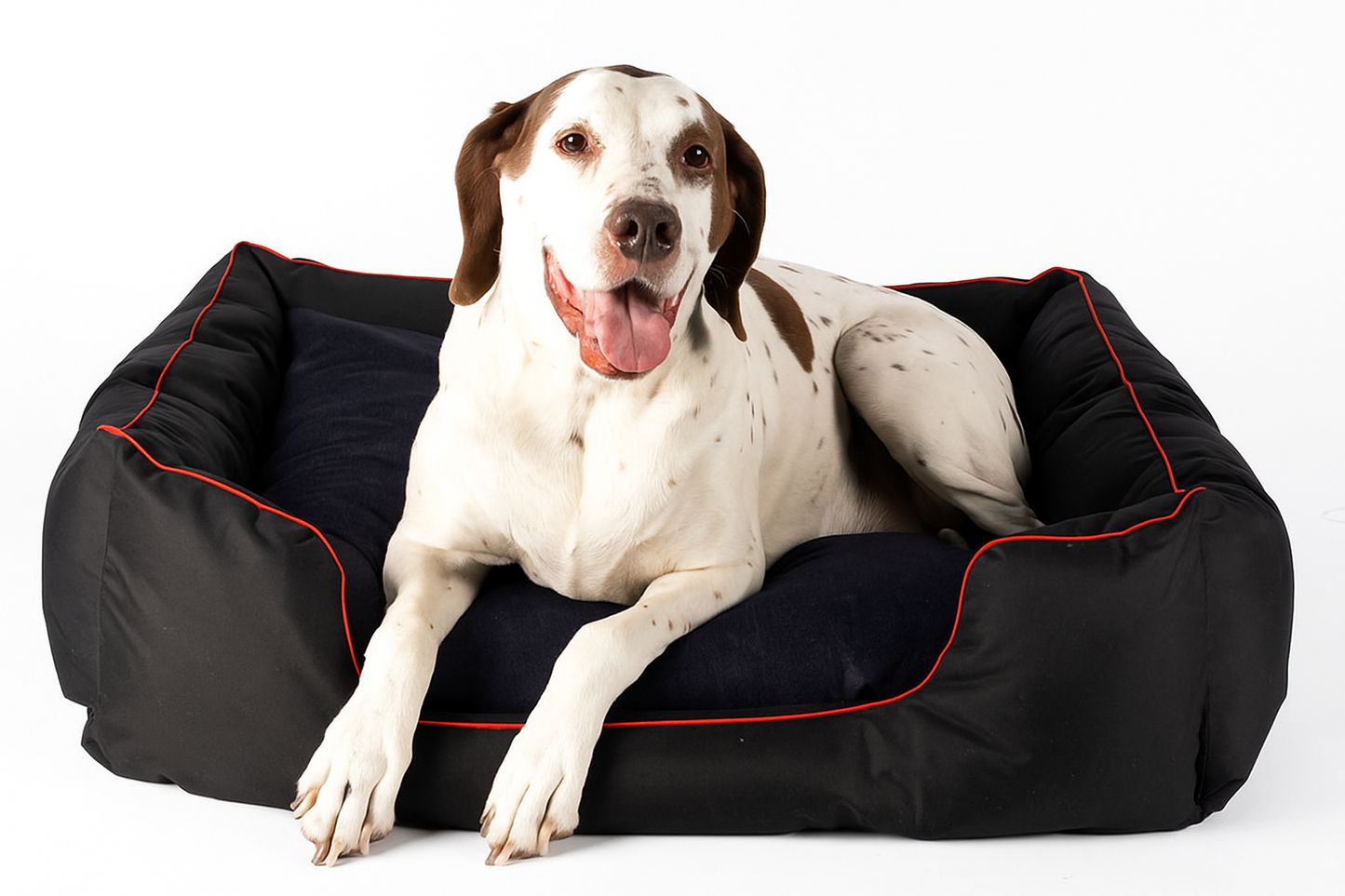 Canvas Square Dog Bed, Black with Piping – Durable Pet Bed for Medium to Extra Large Dogs