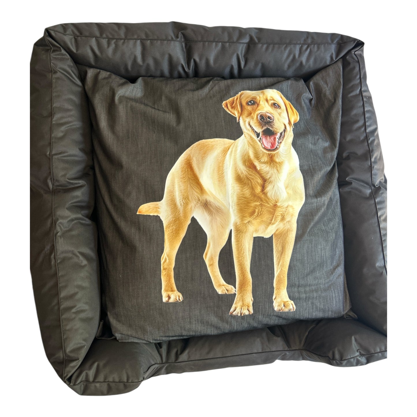 Personalised Dog Bed – Designed Just for Your Fur Baby!