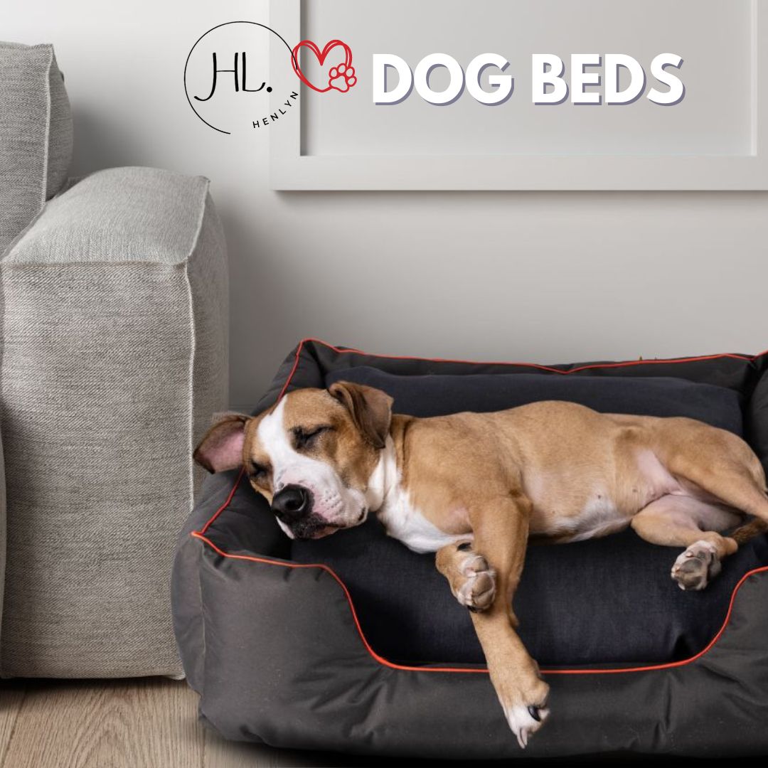 Large Canvas Dog Bed