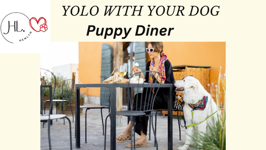 BEST ACTIVITY TO DO WITH YOUR DOG - VISIT A DOG FRIENDLY RESTAURANT - YOU ONLY LIVE ONCE WITH YOUR DOG