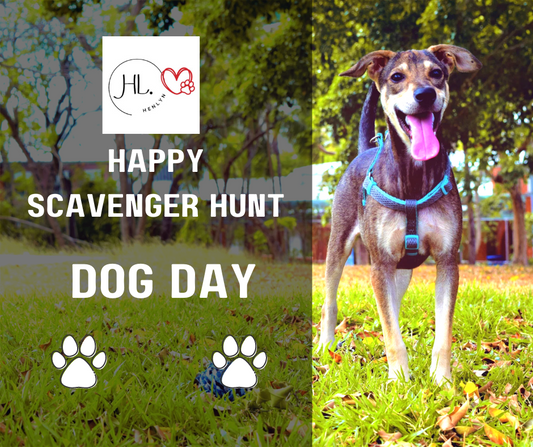 BEST ACTIVITY TO DO WITH YOUR DOG - SCAVENGER HUNT - YOU ONLY LIVE ONCE  WITH YOUR DOG