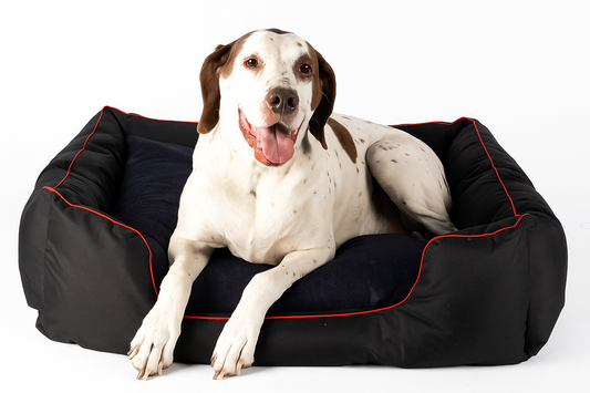 Canvas Square Dog Bed, Black with Piping – Durable Pet Bed for Medium to Extra Large Dogs