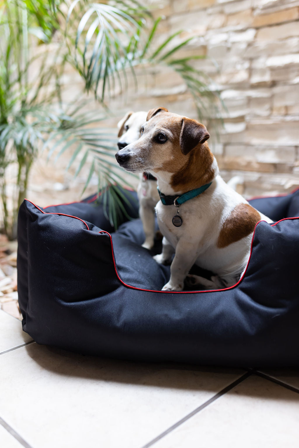 Denim Dog Bed, Square with Piping – Stylish & Durable Pet Bed for Medium to Extra Large Dogs