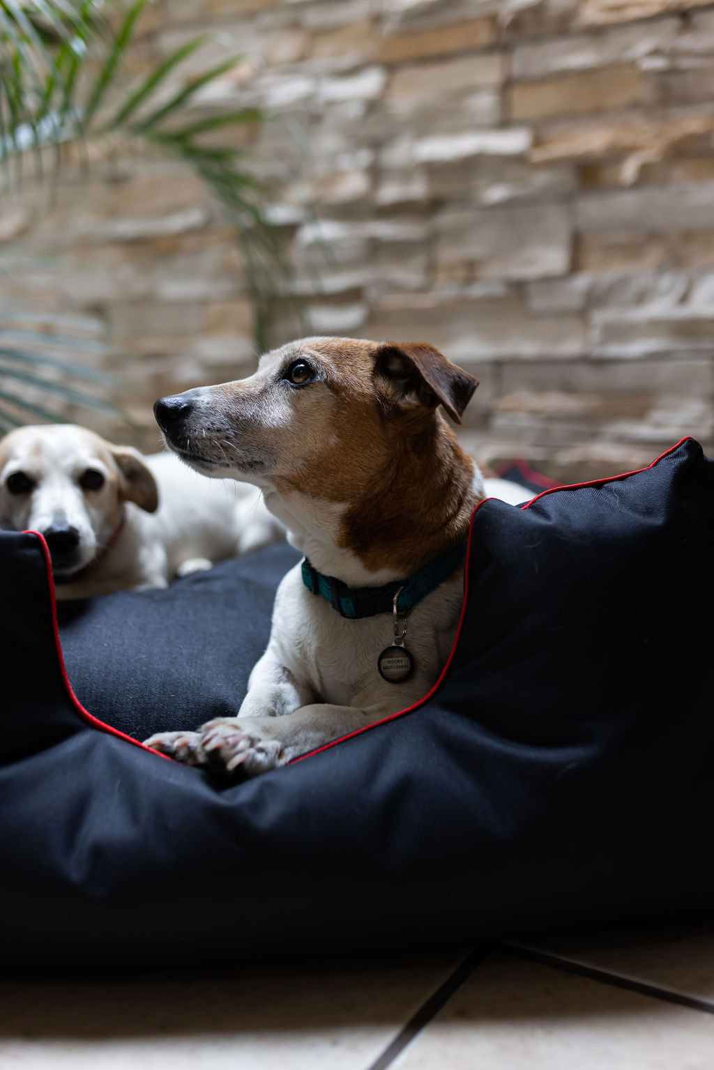 Denim Dog Bed, Square with Piping – Stylish & Durable Pet Bed for Medium to Extra Large Dogs