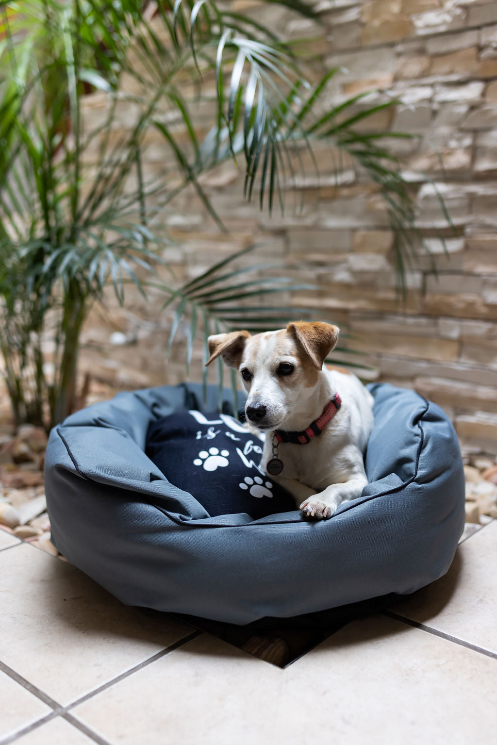 Round Canvas Dog Bed – Small Size, Durable & Comfortable Pet Bed for Small Dogs